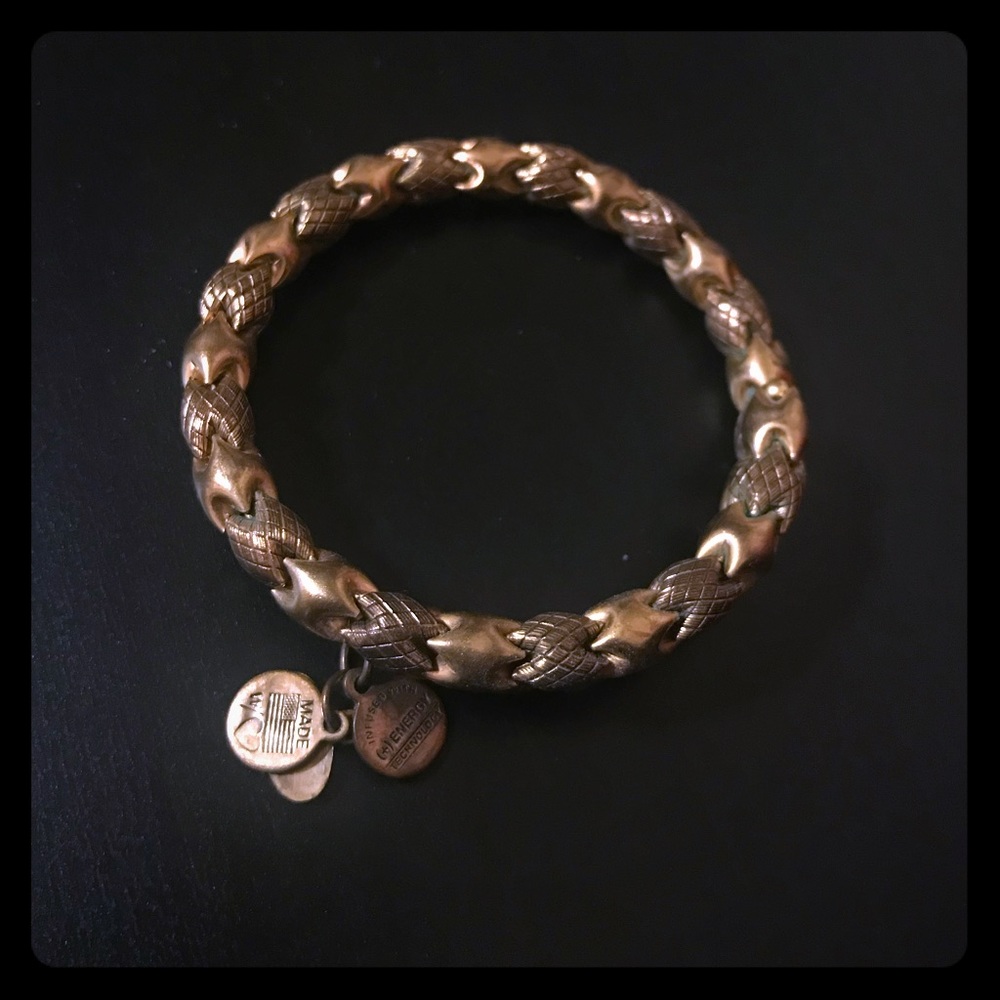 Alex and Ani Snake Bangle Bracelet